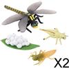 2x Lotto di 4 Nature Dragonfly Growth Cloth Cycle Child Education Learning