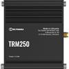 Teltonika TRM250