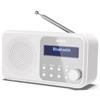 SHARP DR-P420(WH) - RADIO DIGITALE PORTATILE - DAB/DAB+ - LCD MONOCROMATICO - BL