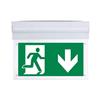V-TAC Lampada LED di Emergenza 2W con Chip Samsung - Anti Black-Out, IP20, Inclinabile