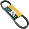 Dayco Power Plus 8134 K cintura in Kevlar rinforzata