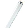 Tubo fluorescente lineare L58W/865 T8 G13 58 W 4900 LM 6500 K 150 CM (25UD)