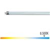 PATRON Tubo fluorescente lineare T8 G13 58 W 4100 LM 6500 K 150 CM (25UD)