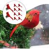 10 pezzi di uccelli rossi di Natale artificiali con clip art, decorazioni di