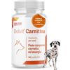PETS Dolfos Dolvit Carnitine Integratore Cane da Caccia 90 Compresse L Carnitina per Cani e