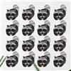 100Pcs Party Lollipop Wrap Paper Cards with Cute Raccoon Design Assorted Color