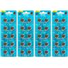 VINNIC 40x L1560F LR9 625A Batterie Stilo A Bottone Alcaline 1.5V Value Pack