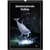 CALVENDO Calendario mensile CALVENDO con delfini misteriosi (calendario da parete 2026 DIN A3 alto), calendario mensile