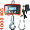 Bilancia da Gru 1000 Kg Industriale con Gancio in Acciaio Inox Pesatura Carichi