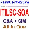 Esame ITIL Servizi Offerte E Accordi ITILSC-SOA Domande E Risposte+SIM