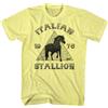 Rocky - Stallone Italiano - Manica Corta - Heather - Adulto - T-Shirt