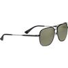 Serengeti Navigator Grande Occhiali SS867003 Gunmetal Polarizzati 555nm
