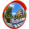 AlgisSign Specchio Parabolico Stradale 60 cm Convesso con Campo Visivo 160°