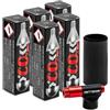 Errecom BKR 7106 Kit Gonfiaggio CO2 per Pneumatici Bici, contiene testa di gonfiaggio per valvole Presta e Schrader e 5 cartucce CO2 da 16 grammi