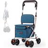 Mobiclinic®, Deambulatore Pieghevole per Anziani, Carrello Spesa, 21L, Coliseo, Marchio europeo, con Borsa Della e Freni, Sedile Imbottito, Monoleva, Acciaio