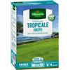 PRATO TROPICALE KIKUYU VERDE CHIARO MORBIDO DENSO RESISTENTE ALLA SICCITÀ PER GI