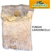 BALLETTA FUNGO CARDONCELLO PANETTO FUNGHI DA COLTIVARE SUBSTRATO 3,5 KG