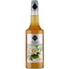 Rioba Sciroppo di fiori di sambuco per barman 700ml - Rioba