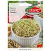 Torseed Semi di germogli di grano 50 g - Torseed