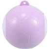 Travel Lint Roller Reusable Washable Hair Remover for Clothes Purple