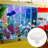 Ceramic Coral Frag Stand White Coral Frag Bracket for Aquariums