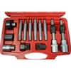 Chiavi Alternatore Kit 13 Pezzi per Smontaggio Puleggia Ruota Libera Motore Auto