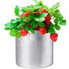 Sacchetto Piantagione Colore Argento Tessuto Oxford per Frutta Verdura Patio Gia