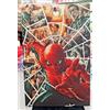 Spider-Man 883 (10) Amazing Visions Variant 1 - Panini Comics - A11