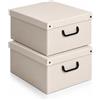 Lavatelli Set 2 Scatole Armadio Portaoggetti con Coperchio - Organizer Cambio Stagione