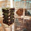 Hay Feeder Frame Wood Manger Rack Natural Rabbit Grass Frame per Rabbit Small