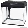 Amtra Laguna LED 50 Acquario in vetro con filtro interno ed illuminazione LED 8.
