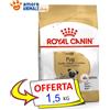 Royal Canin Dog → Adult, PUG ( CARLINO ) - 1,5 kg - Crocchette Cane, Per Cani