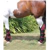 Horses Set 4 paracolpi da trasporto per cavalli modello Heavy 1200 Denari con interno i
