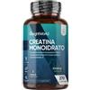 WeightWorld Creatina Monoidrata Vegana, 3000Mg per Dose (Per 3 Mesi), Uomini E Donne