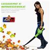 BAKAJI Soffiatore Elettrico con Batteria Litio 20V 2ah Ricaricabile per Foglie Giardino