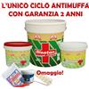 Bisaten Ciclo antimuffa BISATEN Dimaria 13LT Idro-Pittura detergente fissativo HACCP
