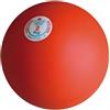 Trial Palla getto anelastica trial da 2 kg