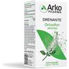 Arkopharma Arkocapsule Ortosifon Integratore Alimentare Drenante, 45 capsule
