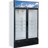 Forcar Armadio Frigo Refrigerato Statico Espositore Bibite Modello G-Snack638L2TNG Porta a vetro Capacità Lt. 620 Temp.°C. 2 / 8 Dim. cm L.119.8 P.53 H.188