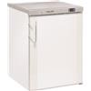 CoolHead Armadio Refrigerato Modello CN2 Interno in ABS 2 Ripiani evaporatori fissi