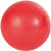 TRIXIE GIOCO GOMMA NATURALE PALLA PIENA ø 6 cm