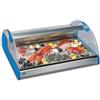 TecFrigo Espositore Da Banco refrigerato Modello AZZURRA4 per pesce