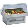 TecFrigo Banco/espositore per pesce Modello OCEANUS150 vetro dritto