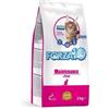 Forza 10 gatto mantenimento pesce 2 kg