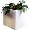 SLIDE vaso luminoso Q-POT LIGHT - LPQPT075-LA