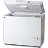TecFrigo Pozzetto congelatore industriale per surgelati Modello AB500 Capacità Lt. 472 Temp.°C. -25 / -17 Dim. cm L.170 P.69 H.86