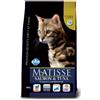 Matisse salmone e tonno 10 kg
