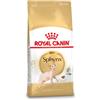 Royal Canin Breed Royal Canin Adult Sphynx per gatto 10 kg