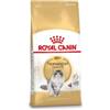 Royal Canin Breed Royal Canin Gatto delle Foreste Norvegesi 10 kg