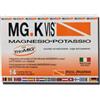 MGK VIS Linea Integratori Idrosalini Polvere Granulare 14 buste Arancia